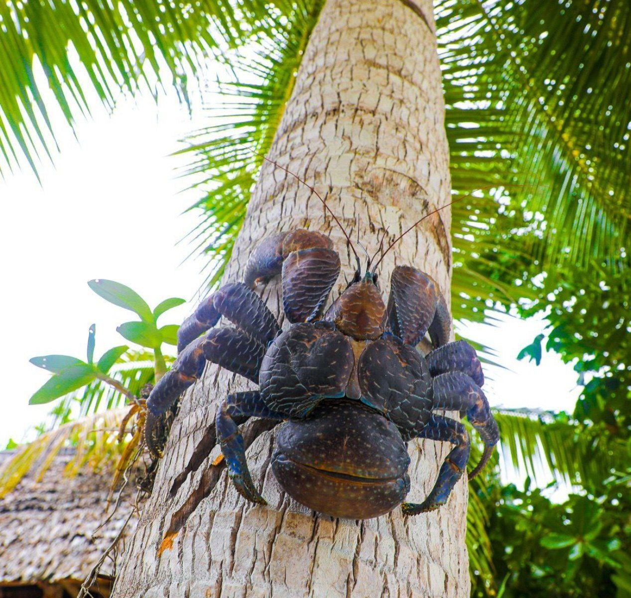 🌍 WANDERLUST | Travel Guide